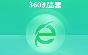 360浏览器Web端