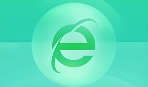 360浏览器升级版软件